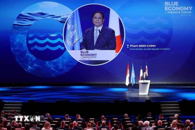 Thủ tướng Phạm Minh Chính: Tăng cường cho 3 lĩnh vực để bảo vệ đại dương- Ảnh 1. Thủ tướng Phạm Minh Chính: Tăng cường cho 3 lĩnh vực để bảo vệ đại dương- Ảnh 1.