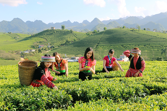 Ra quân Tổng điều tra nông nghiệp, nông thôn năm 2025- Ảnh 2. Ra quân Tổng điều tra nông nghiệp, nông thôn năm 2025- Ảnh 2.