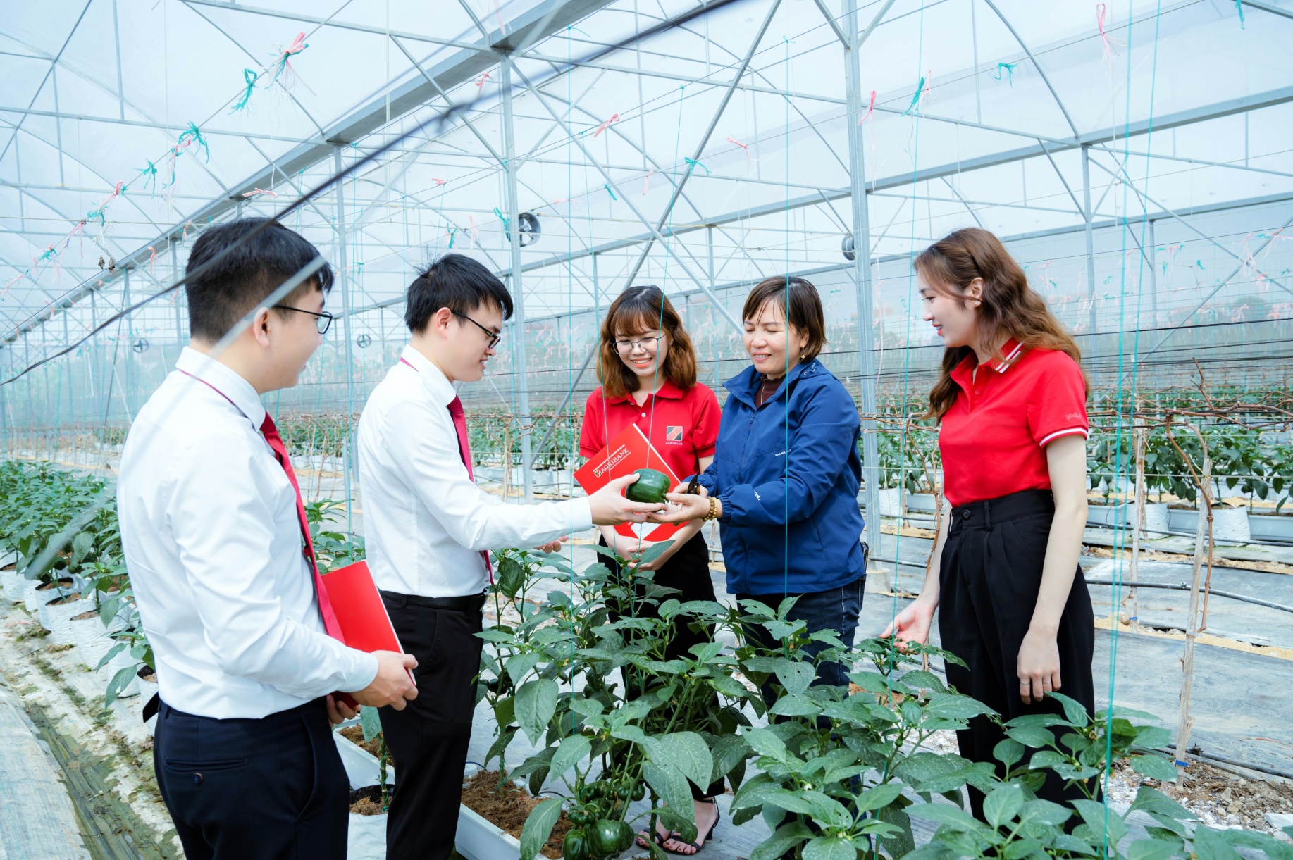 Agribank tung gói tín dụng ưu đãi lớn lên tới 110.000 tỷ đồng ngay từ đầu năm 2025- Ảnh 3. Agribank tung gói tín dụng ưu đãi lớn lên tới 110.000 tỷ đồng ngay từ đầu năm 2025- Ảnh 3.