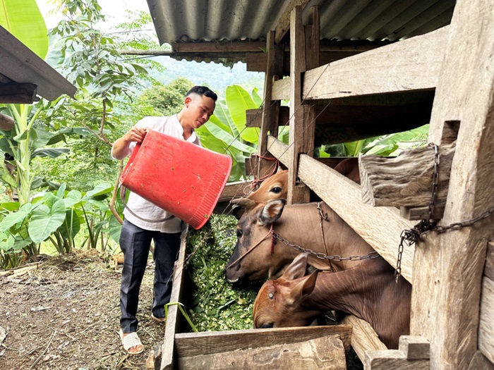 Cao Bằng: 6 tháng đầu năm triển khai gần 70 dự án hỗ trợ phát triển sản xuất- Ảnh 1. Cao Bằng: 6 tháng đầu năm triển khai gần 70 dự án hỗ trợ phát triển sản xuất- Ảnh 1.