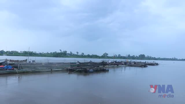 Ứng phó bão số 3: Hàng loạt địa phương sơ tán người dân ở khu vực có nguy cơ bị ngập sâu- Ảnh 1. Ứng phó bão số 3: Hàng loạt địa phương sơ tán người dân ở khu vực có nguy cơ bị ngập sâu- Ảnh 1.