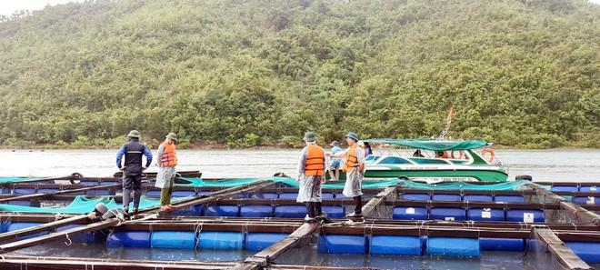 Ứng phó bão số 3: Sẵn sàng phương án di dời dân khỏi khu vực nguy hiểm- Ảnh 2. Ứng phó bão số 3: Sẵn sàng phương án di dời dân khỏi khu vực nguy hiểm- Ảnh 2.