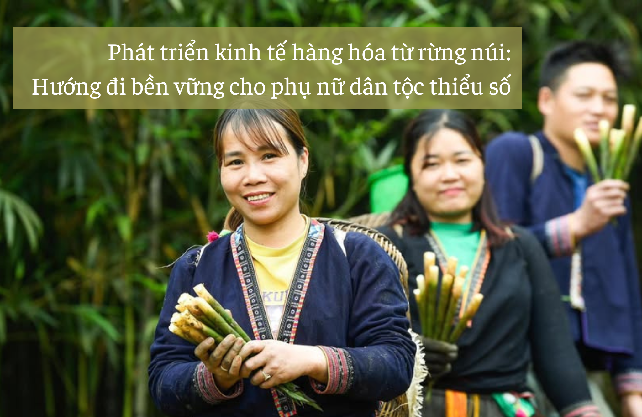 Phát triển kinh tế hàng hóa từ rừng núi: Hướng đi bền vững cho phụ nữ dân tộc thiểu số