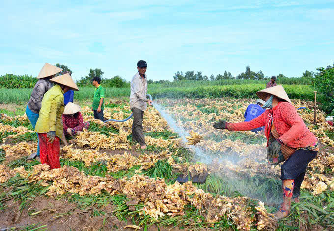 Tỉnh, xã quyết tâm, nhân dân phấn khởi khơi thông dòng chảy vốn tín dụng chính sách ở An Giang- Ảnh 1. Tỉnh, xã quyết tâm, nhân dân phấn khởi khơi thông dòng chảy vốn tín dụng chính sách ở An Giang- Ảnh 1.