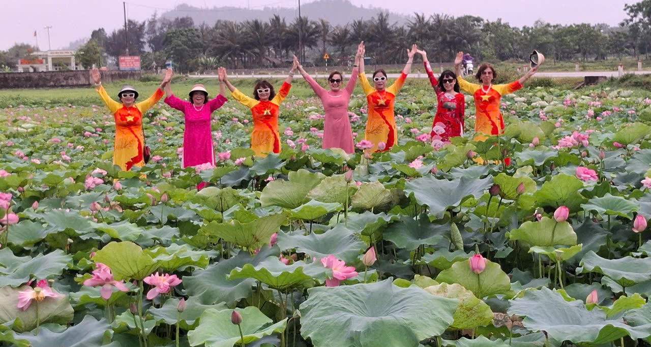 Mengubah tanah terbiar menjadi kolam teratai, memperoleh berjuta-juta setiap hari - Foto 2. Biến đất hoang thành đầm sen, thu tiền triệu mỗi ngày- Ảnh 2.