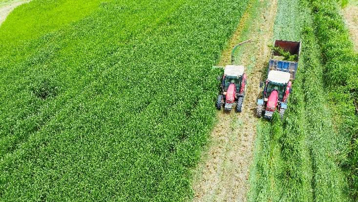 "Mở khóa tự nhiên": Vinamilk biến rào cản thành vòng tuần hoàn xanh tại trang trại sinh thái- Ảnh 10. "Mở khóa tự nhiên": Vinamilk biến rào cản thành vòng tuần hoàn xanh tại trang trại sinh thái- Ảnh 10.