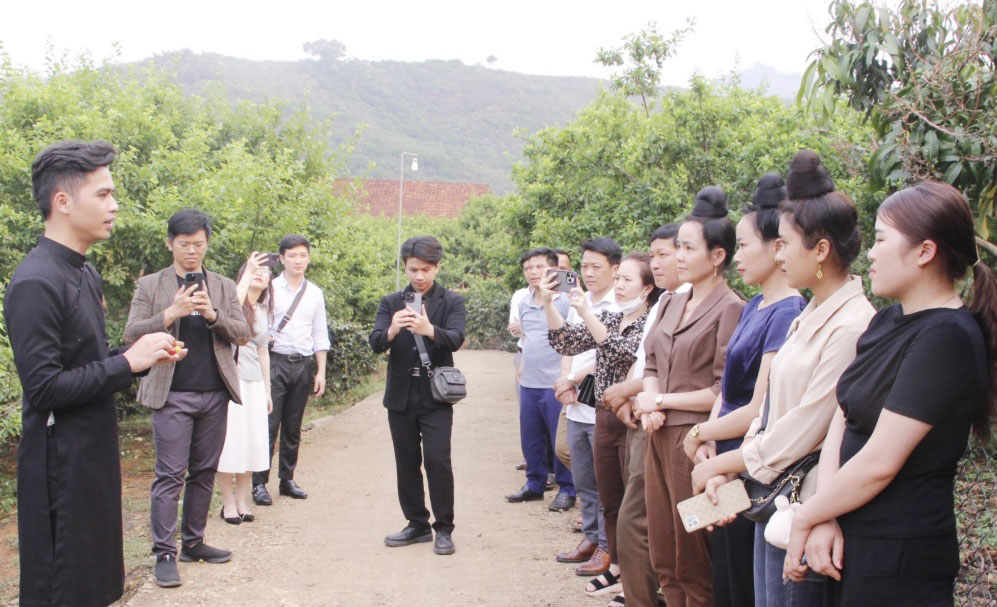 डिजिटल परिवर्तन - स्थानीय कृषि उत्पादों में सुधार की  Chuyển đổi số -