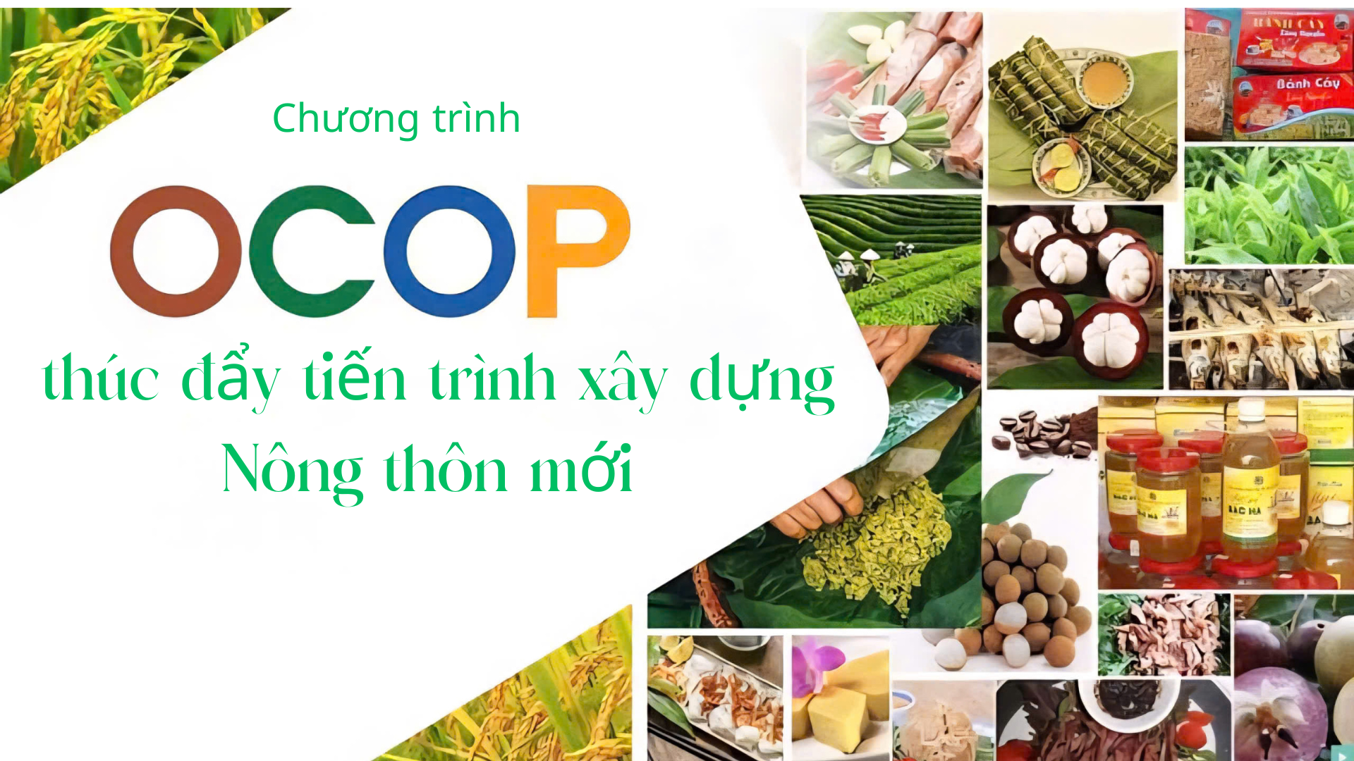 Chương trình OCOP thúc đẩy tiến trình xây dựng nông thôn mới