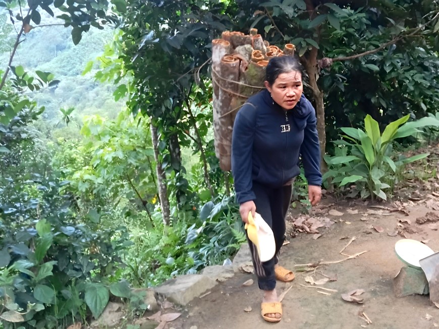 নীরব মায়েরা তাদের সন্তানদের বনের মাঝখানে  Những bà mẹ thầm lặng