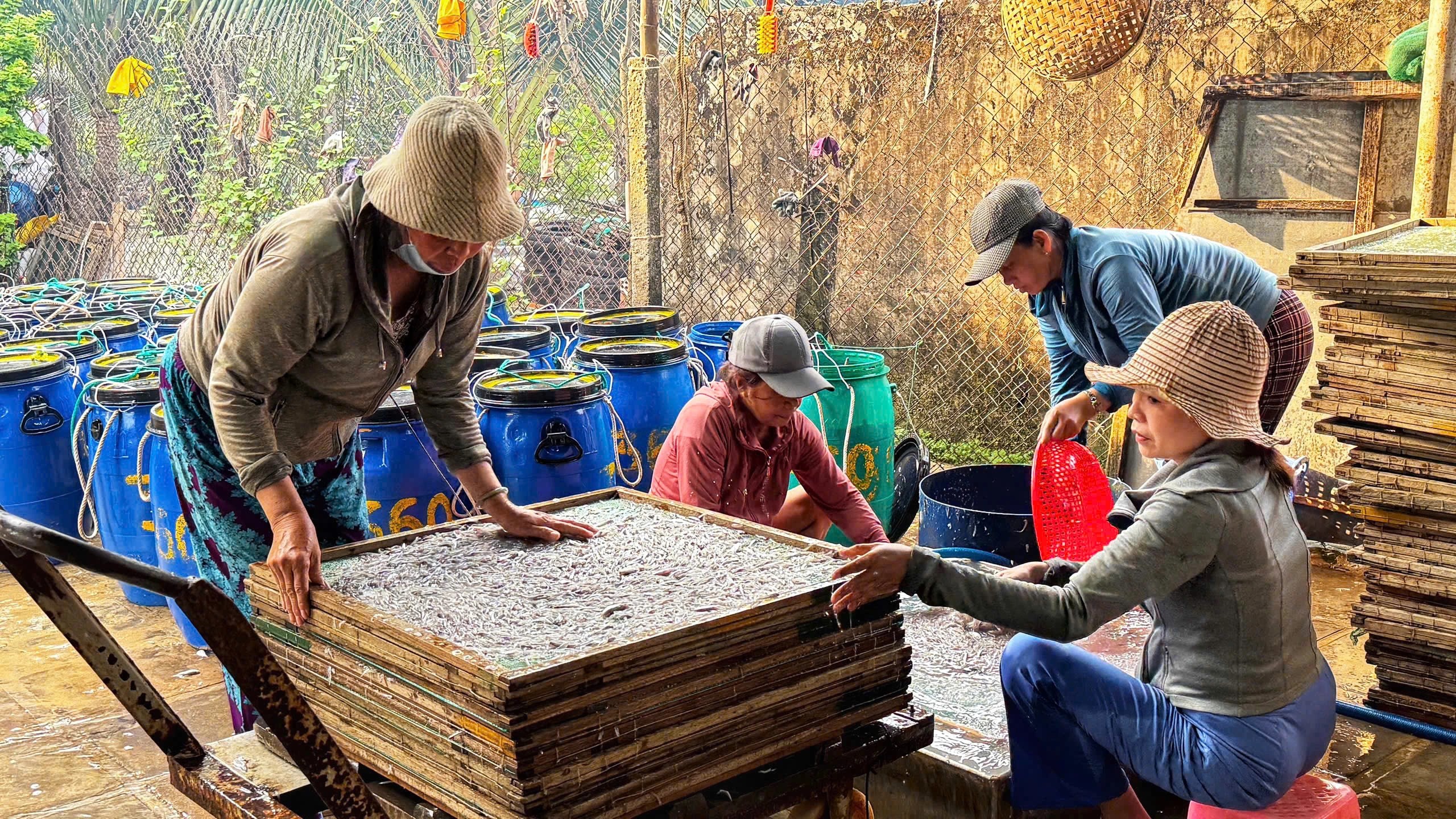 Capital político para apoiar pescadores - Foto 3. Nguồn vốn chính sách tiếp sức cho ngư dân- Ảnh 3.