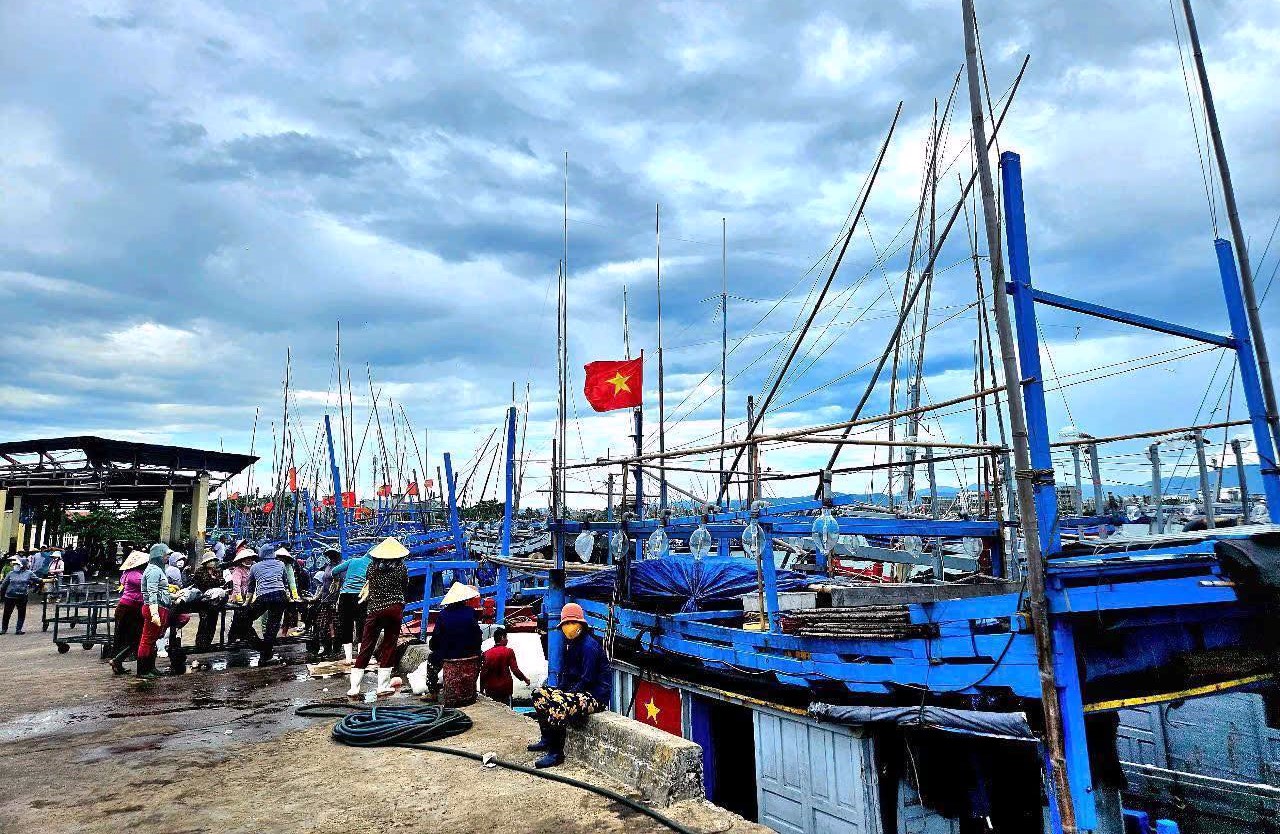 Capital político para apoiar pescadores - Foto 2. Nguồn vốn chính sách tiếp sức cho ngư dân- Ảnh 2.
