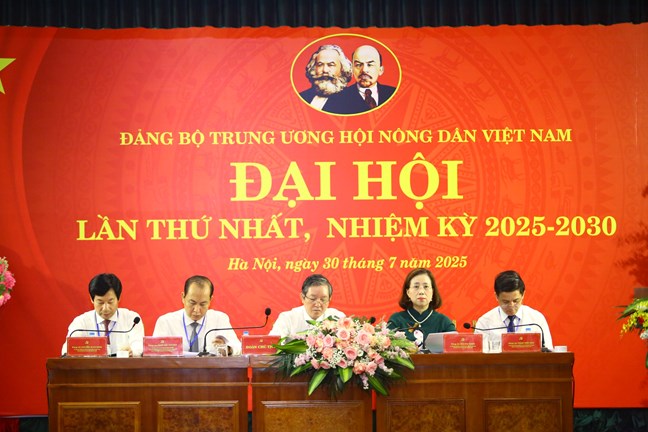Đại hội Đảng bộ Trung ương Hội Nông dân Việt Nam lần thứ I, nhiệm kỳ 2025-2030, thành công tốt đẹp- Ảnh 4.