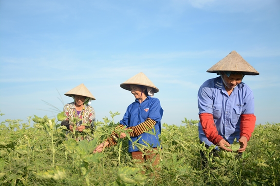 Nâng cao năng lực tiếp cận dịch vụ tài chính cho phụ nữ, các nhóm yếu thế và khu vực nông thôn, miền núi- Ảnh 1. Nâng cao năng lực tiếp cận dịch vụ tài chính cho phụ nữ, các nhóm yếu thế và khu vực nông thôn, miền núi- Ảnh 1.