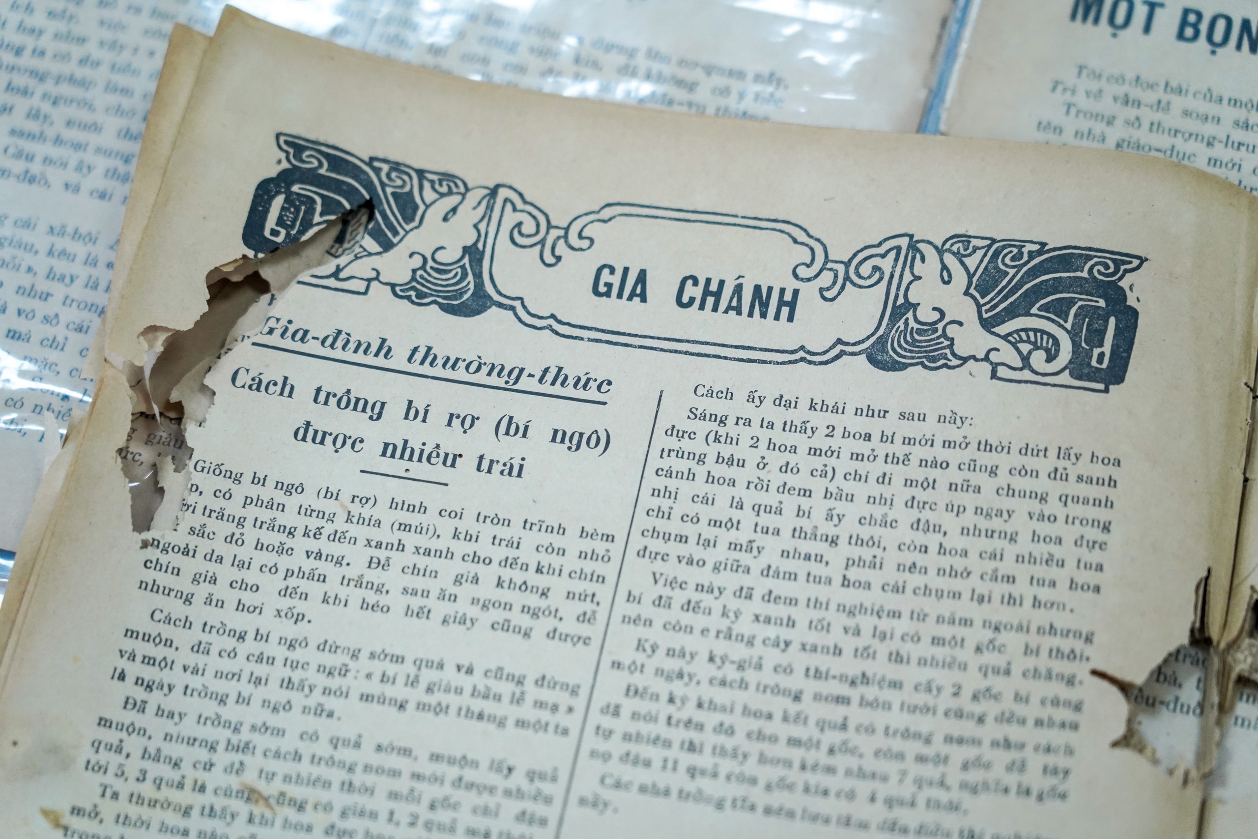 Nhà sưu tầm báo giấy Nguyễn Phi Dũng: Nâng niu di sản dòng báo nữ Việt Nam- Ảnh 19.