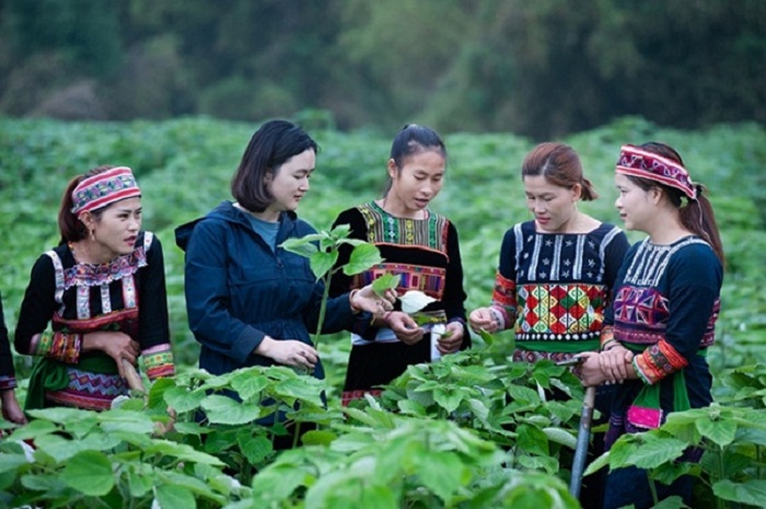 Xóa bỏ bất bình đẳng giới trong văn hóa tộc người: Huy động già làng, trưởng bản cùng vào cuộc- Ảnh 2. Xóa bỏ bất bình đẳng giới trong văn hóa tộc người: Huy động già làng, trưởng bản cùng vào cuộc- Ảnh 2.