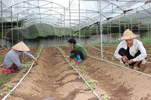 Điện Biên: Tập trung nguồn lực phát triển hạ tầng nông nghiệp, nông thôn- Ảnh 1.