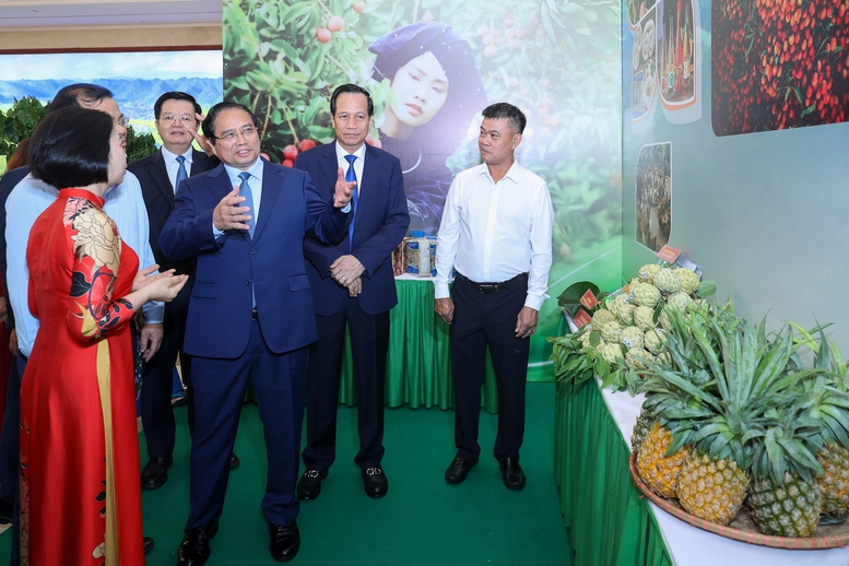 Thủ tướng: Có chính sách ưu tiên, nguồn lực ưu tiên, tín dụng ưu tiên với vùng đồng bào dân tộc thiểu số và miền núi- Ảnh 10. Thủ tướng: Có chính sách ưu tiên, nguồn lực ưu tiên, tín dụng ưu tiên với vùng đồng bào dân tộc thiểu số và miền núi- Ảnh 10.