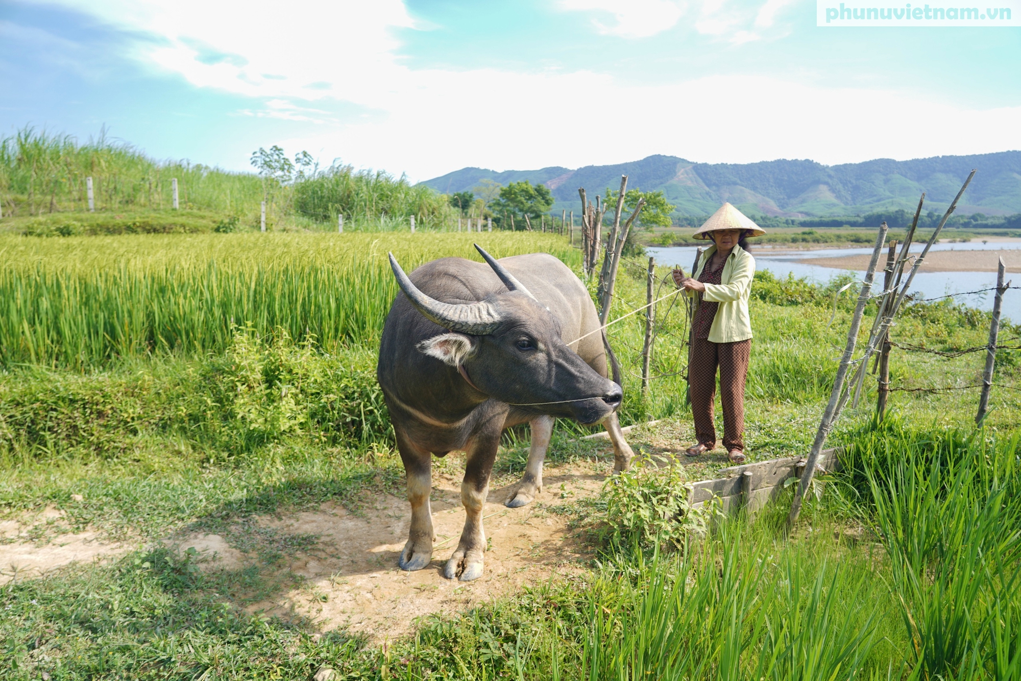 Bản tái định cư của đồng bào người Chứt đẹp như tranh vẽ ven sông Ngàn Sâu- Ảnh 10. Bản tái định cư của đồng bào người Chứt đẹp như tranh vẽ ven sông Ngàn Sâu- Ảnh 10.