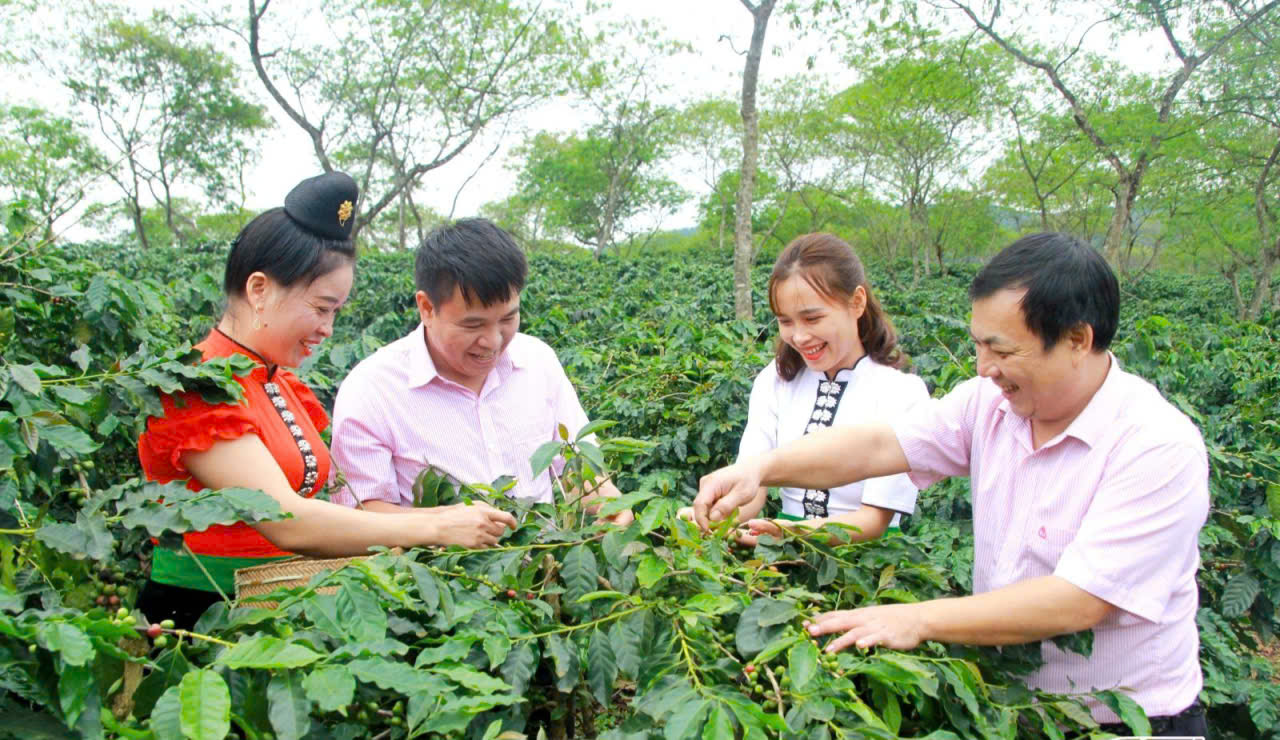 Transformace z high-tech zemědělských modelů - Foto 4. Chuyển mình từ những mô hình nông nghiệp ứng dụng công nghệ cao- Ảnh 4.