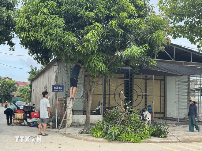 Bão số 5 ngày càng mạnh, các địa phương gấp rút sơ tán dân, thực hiện cấm biển- Ảnh 2. Bão số 5 ngày càng mạnh, các địa phương gấp rút sơ tán dân, thực hiện cấm biển- Ảnh 2.