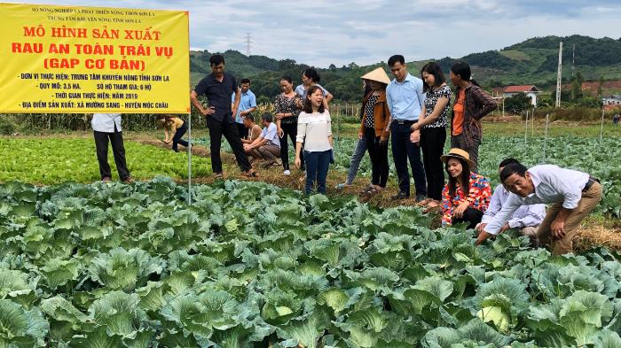 Sơn La đặt mục tiêu trở thành vùng nông nghiệp ứng dụng công nghệ cao ở vùng Tây Bắc- Ảnh 3. Sơn La đặt mục tiêu trở thành vùng nông nghiệp ứng dụng công nghệ cao ở vùng Tây Bắc- Ảnh 3.
