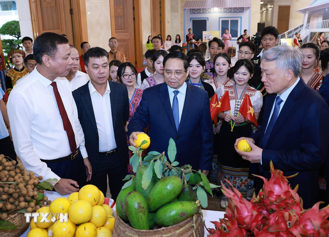 ''Hoàn thành xóa nhà tạm, nhà dột nát là công trình đặc biệt của ý Đảng, lòng dân''- Ảnh 3.