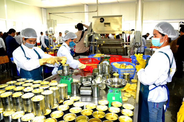 ឃុំបានលាវ៖ ការពង្រីកកន្លែងដាំដុះកសិកម្មឯកទេស - រូបថត ២. Xã Bản Lầu: Mở rộng không gian chuyên canh nông sản- Ảnh 2.