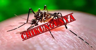 Cách nhận biết bệnh Chikungunya và biện pháp phòng ngừa hiệu quả- Ảnh 2.