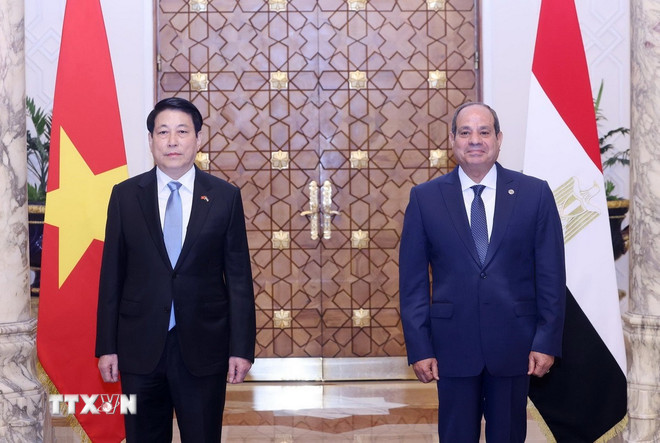 Chuyến thăm của Chủ tịch nước Lương Cường thúc đẩy hợp tác Việt Nam-châu Phi- Ảnh 1.
