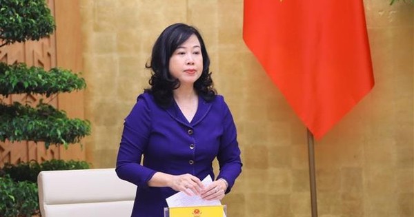 Bộ trưởng Đào Hồng Lan nói về chính sách miễn viện phí; chế độ tiền lương, phụ cấp đối với nhân viên y tế- Ảnh 1.