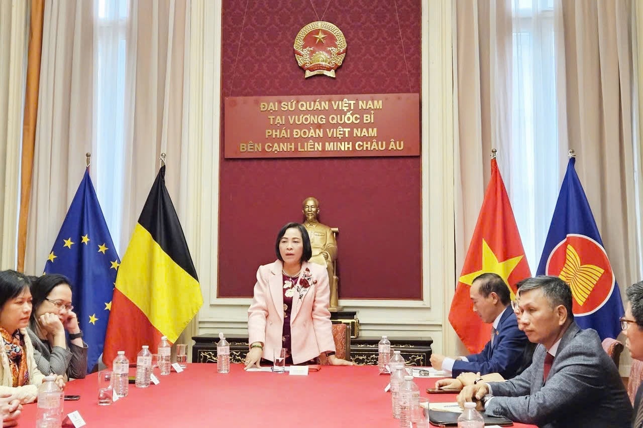Phó Chủ tịch Quốc hội Nguyễn Thị Thanh thăm, làm việc tại Vương quốc Bỉ và Liên minh châu Âu- Ảnh 6.