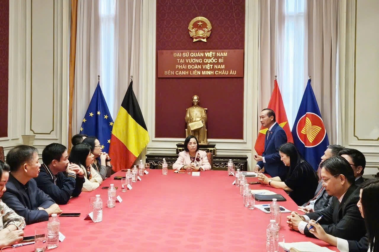 Phó Chủ tịch Quốc hội Nguyễn Thị Thanh thăm, làm việc tại Vương quốc Bỉ và Liên minh châu Âu- Ảnh 7.