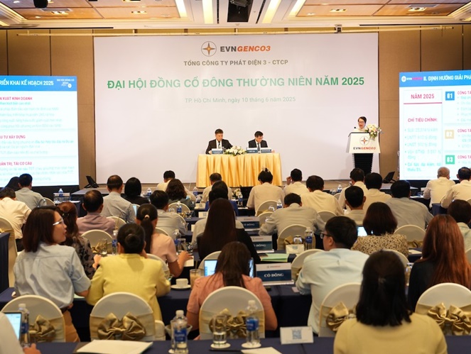 EVNGENCO3: Lợi nhuận mạnh, nợ phải trả gấp 2,4 lần vốn chủ sở hữu- Ảnh 2.