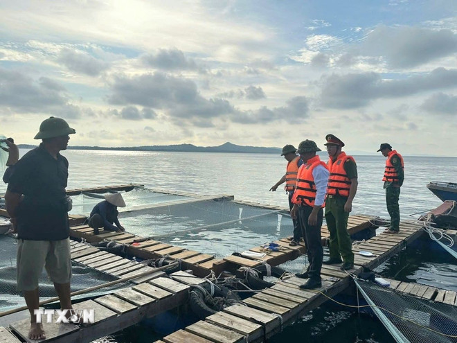 Thủ tướng: Chủ động ứng phó với bão số 10 ở mức cao nhất, không để bị động- Ảnh 1. Thủ tướng: Chủ động ứng phó với bão số 10 ở mức cao nhất, không để bị động- Ảnh 1.