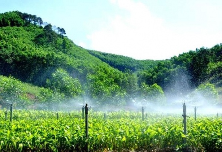 Quy định mới về phân bổ vốn cho các địa phương để phát triển kinh tế nông, lâm nghiệp bền vững- Ảnh 1. Quy định mới về phân bổ vốn cho các địa phương để phát triển kinh tế nông, lâm nghiệp bền vững- Ảnh 1.