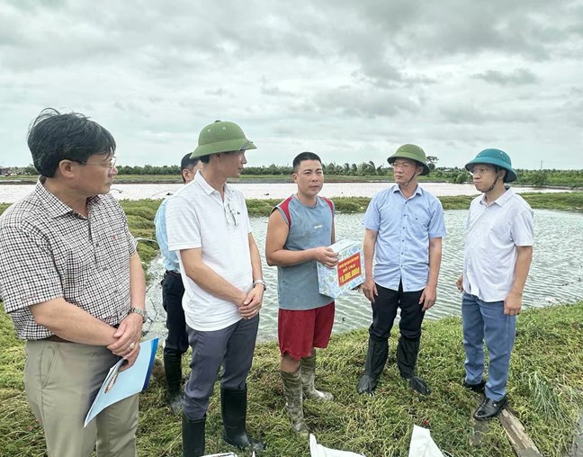 Chủ tịch Ủy ban MTTQ Việt Nam TP Hải Phòng động viên các hộ dân bị thiệt hại do lốc xoáy- Ảnh 2.