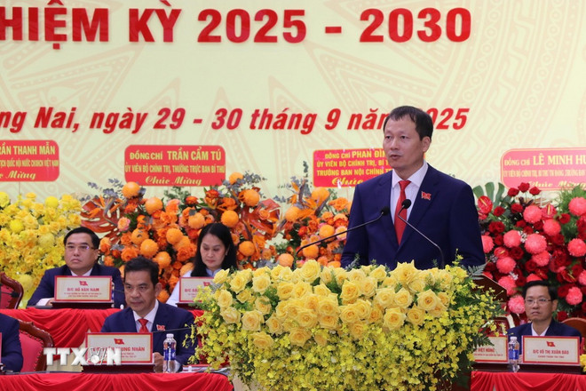 Đưa Đồng Nai sớm trở thành trung tâm kinh tế hàng không, công nghệ cao- Ảnh 1.