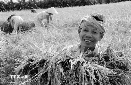 Đại hội VI của Đảng: Khởi xướng và lãnh đạo sự nghiệp đổi mới đất nước- Ảnh 5.