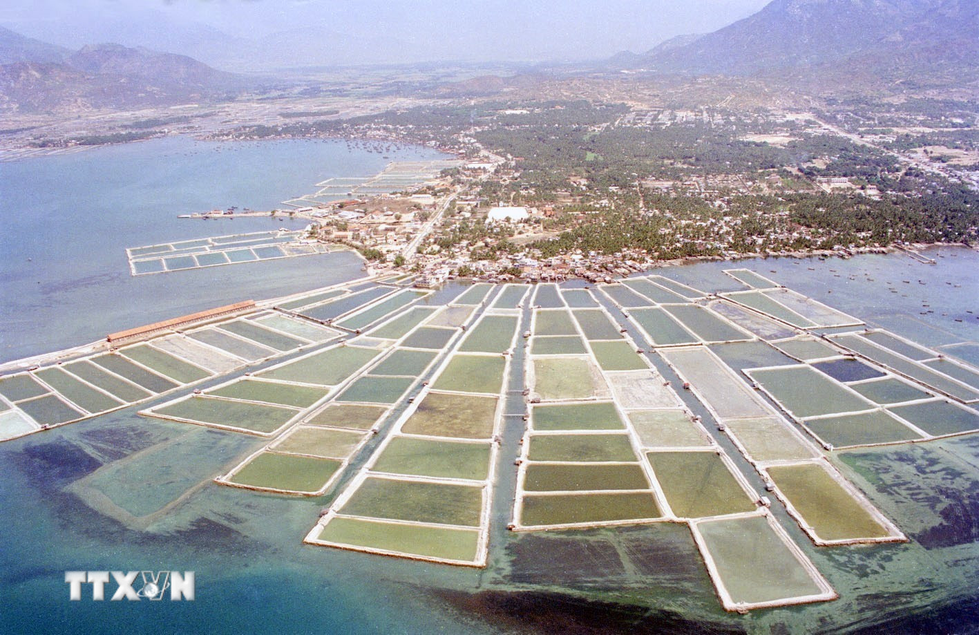 Đại hội VIII của Đảng: Tiền đề cho công cuộc công nghiệp hóa, hiện đại hóa- Ảnh 2.