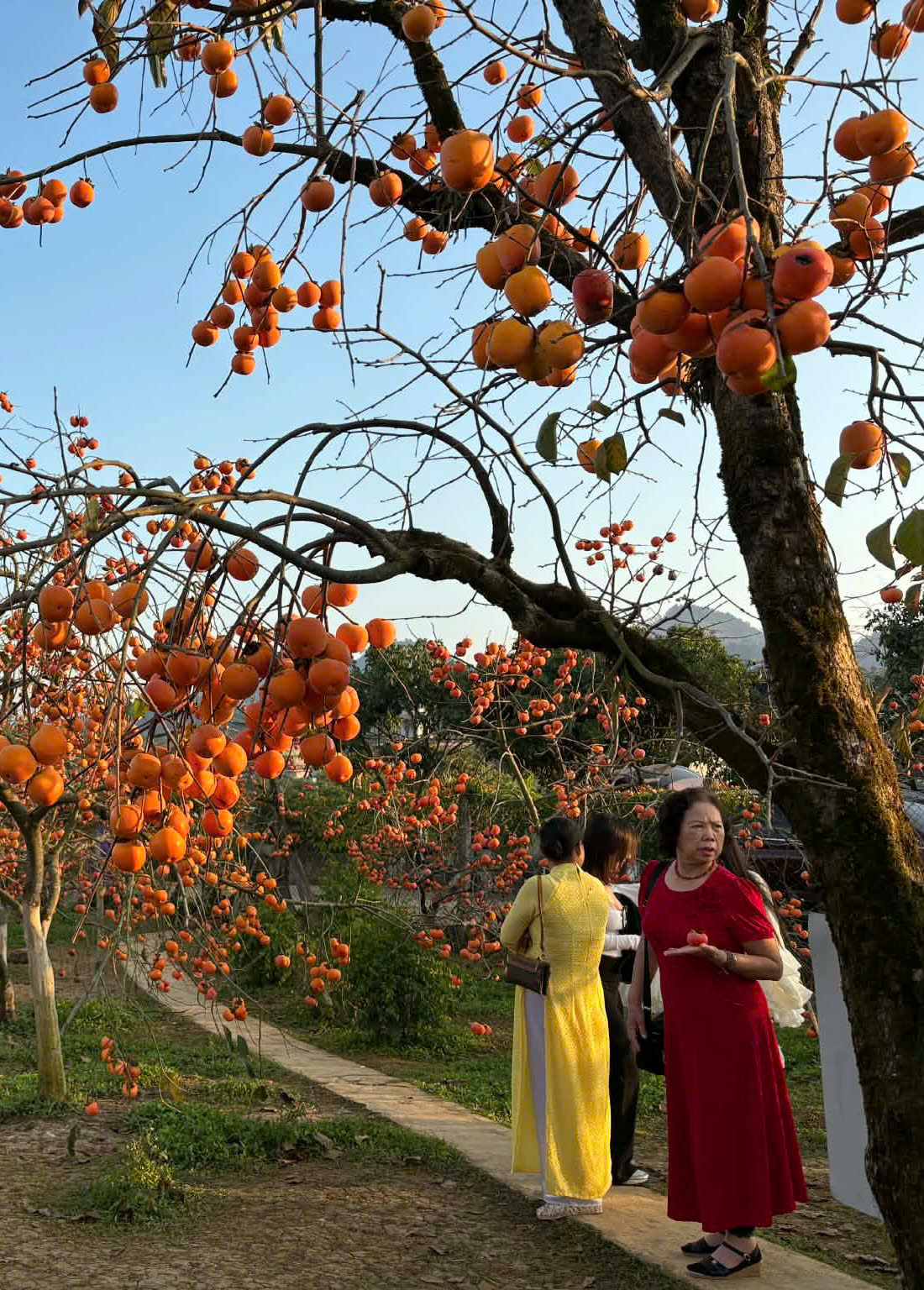 Gia đình tăng gắn kết trong kỳ nghỉ Tết Dương lịch- Ảnh 1. Gia đình tăng gắn kết trong kỳ nghỉ Tết Dương lịch- Ảnh 1.