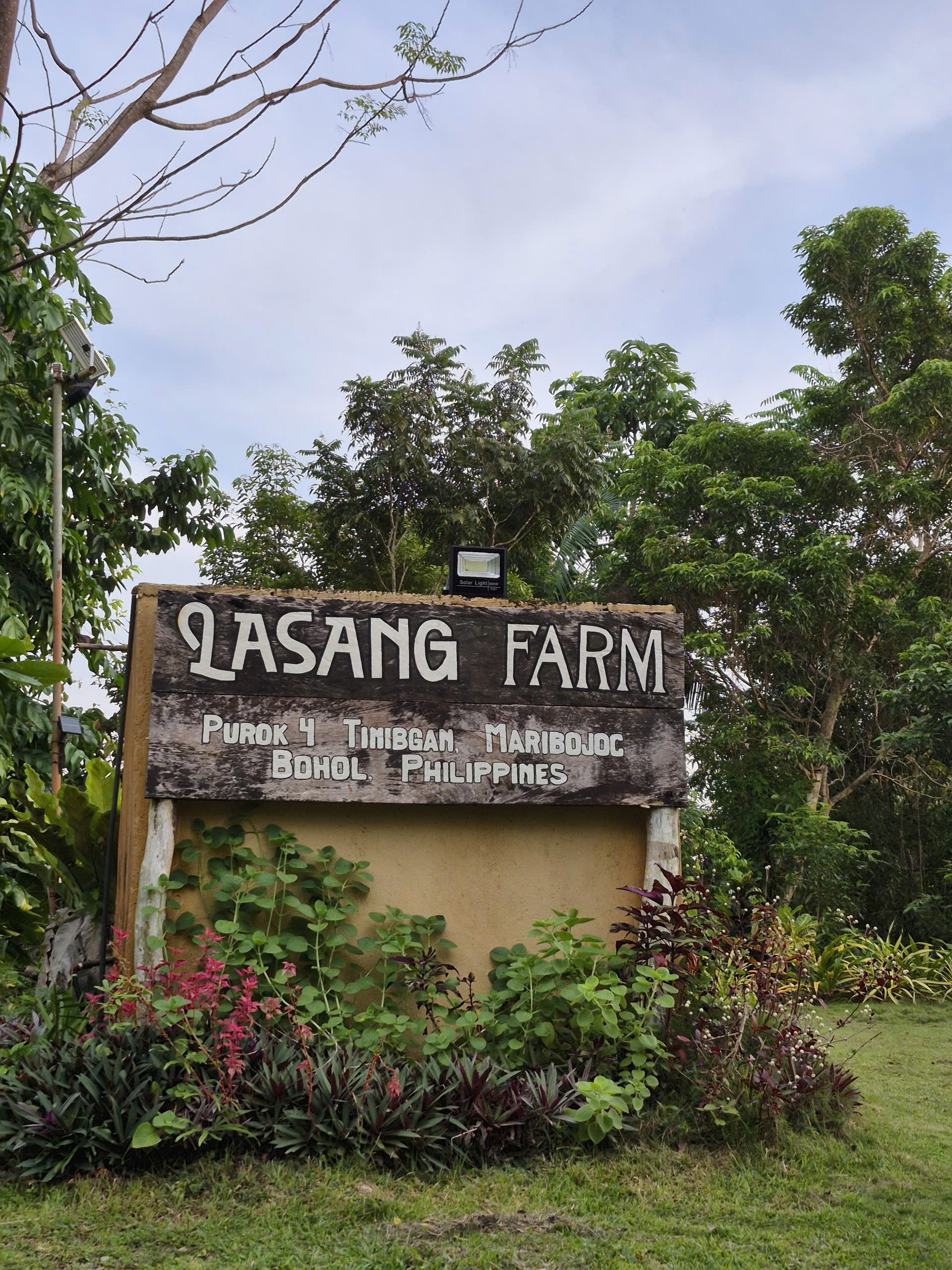 Du lịch Philippines: Những điểm dừng chân “gây thương nhớ” ở Cebu, Bohol- Ảnh 10. Du lịch Philippines: Những điểm dừng chân “gây thương nhớ” ở Cebu, Bohol- Ảnh 10.