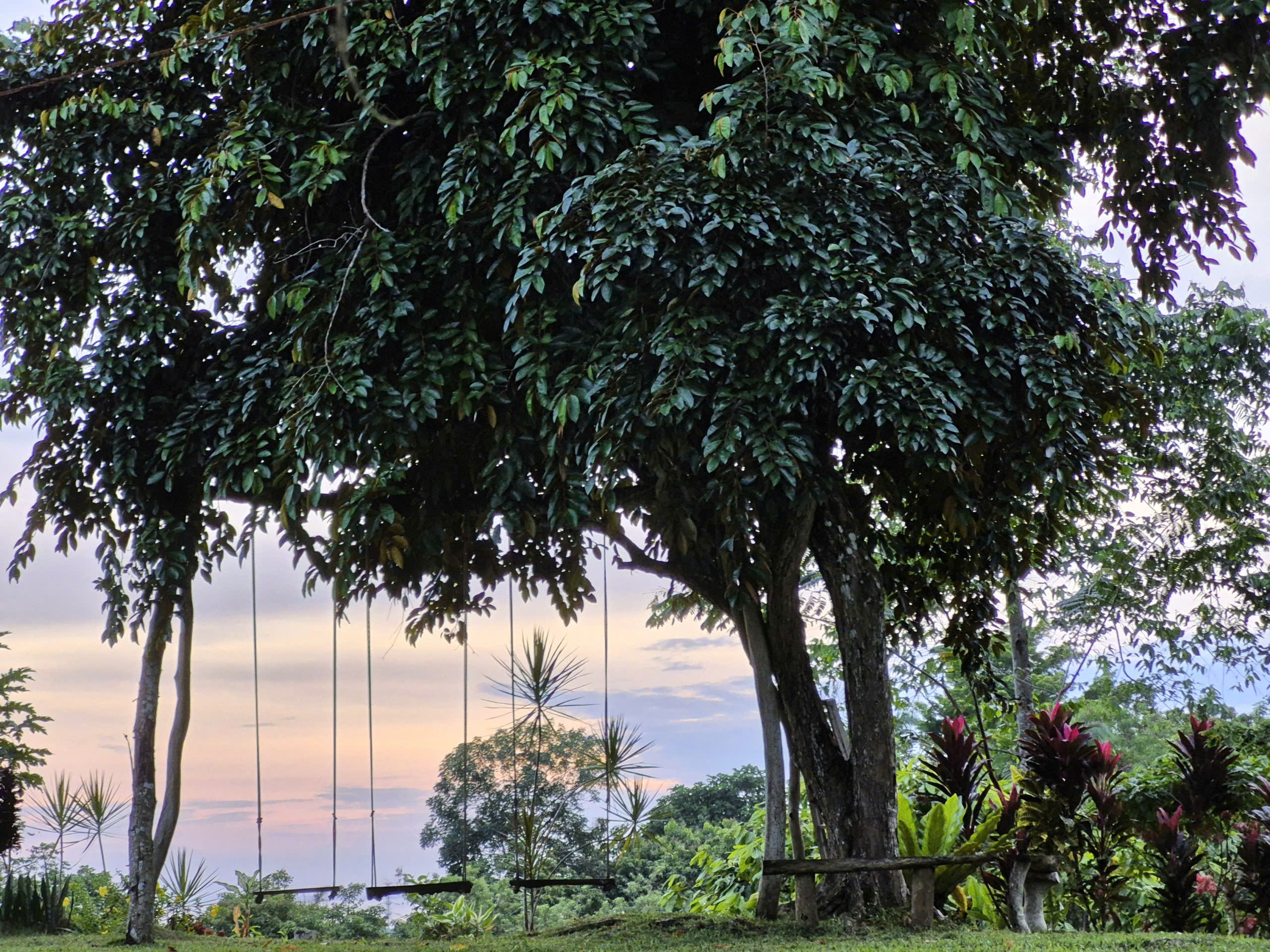 Du lịch Philippines: Những điểm dừng chân “gây thương nhớ” ở Cebu, Bohol- Ảnh 11. Du lịch Philippines: Những điểm dừng chân “gây thương nhớ” ở Cebu, Bohol- Ảnh 11.