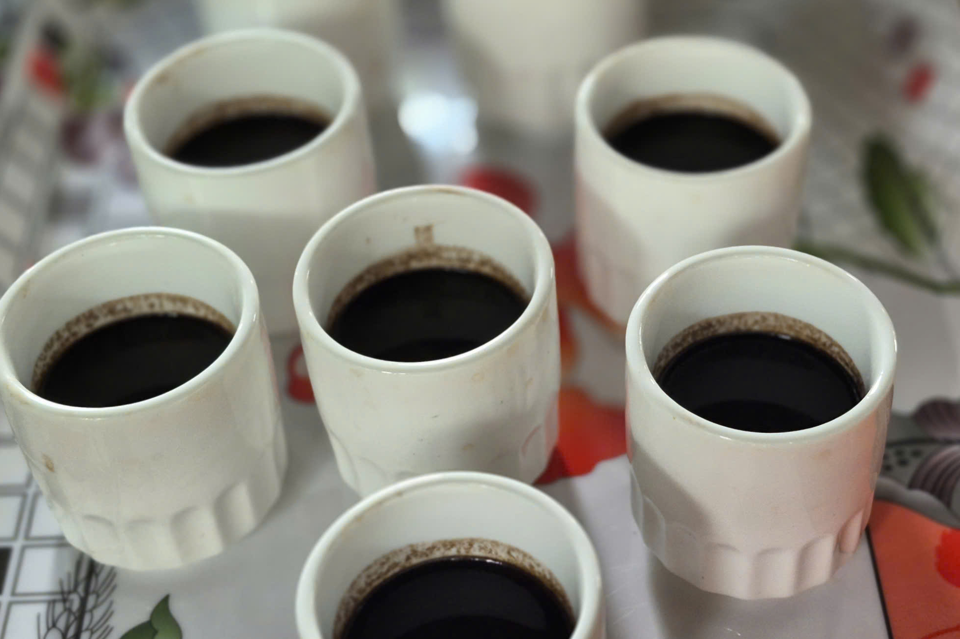 Du lịch Philippines: Những điểm dừng chân “gây thương nhớ” ở Cebu, Bohol- Ảnh 9. Du lịch Philippines: Những điểm dừng chân “gây thương nhớ” ở Cebu, Bohol- Ảnh 9.