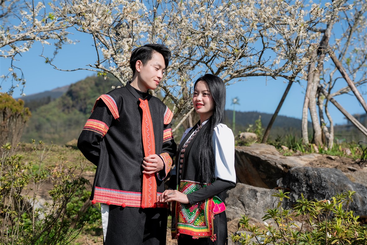 Giới trẻ "rần rần" check-in cây mận cổ thụ trắng muốt đẹp như phim tại Sun World Fansipan Legend- Ảnh 3.