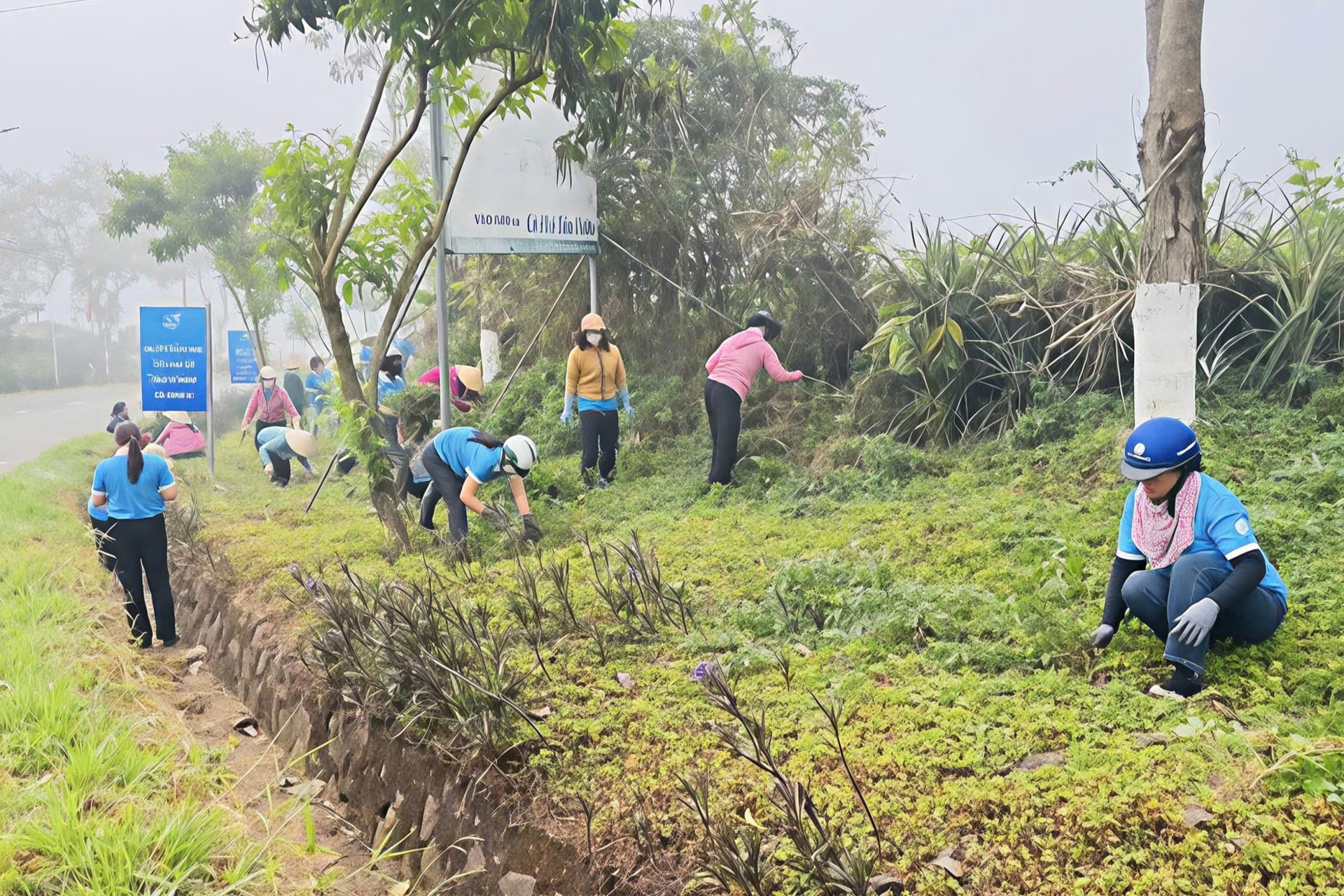 Phụ nữ Lâm Đồng chung tay làm đẹp từng con đường, góc phố- Ảnh 1.