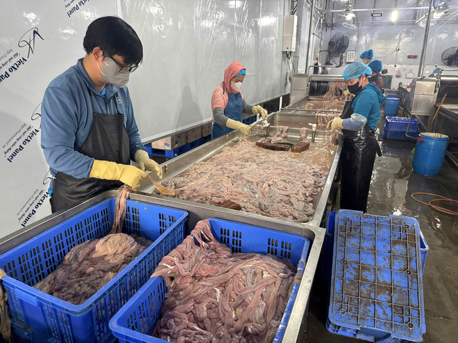 Hà Nội phát hiện kho lạnh trữ 60 tấn lòng lợn không rõ nguồn gốc- Ảnh 2.