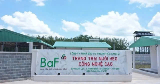 BaF Việt Nam lỗ kỷ lục: Biên lợi nhuận gãy, dòng tiền âm- Ảnh 2.