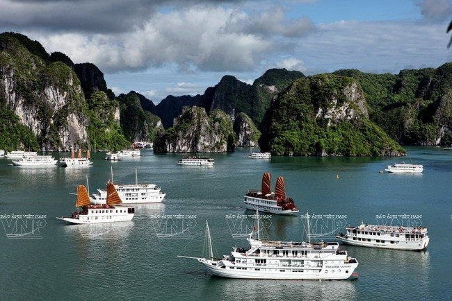 Tàu du lịch và du thuyền tại Việt Nam còn có nhiều dư địa phát triển- Ảnh 2.