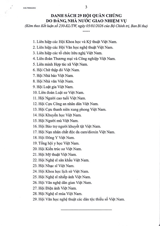 Kết luận về Đề án sắp xếp, tinh gọn các hội quần chúng và Đề án đánh giá mô hình hoạt động của VCA, VCCI- Ảnh 3. Kết luận về Đề án sắp xếp, tinh gọn các hội quần chúng và Đề án đánh giá mô hình hoạt động của VCA, VCCI- Ảnh 3.