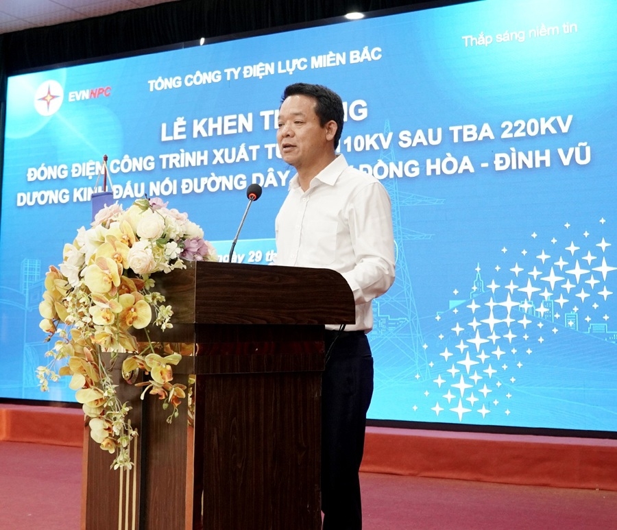 Vượt khó đưa dự án xuất tuyến 110kV Dương Kinh về đích đúng tiến độ - Ảnh 3.